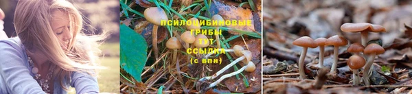 синтетический гашиш Абинск