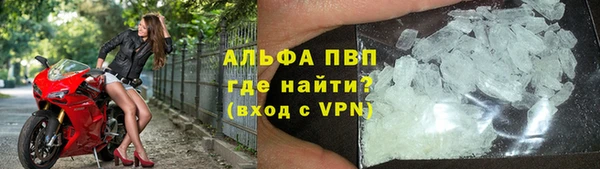 стаф Кодинск