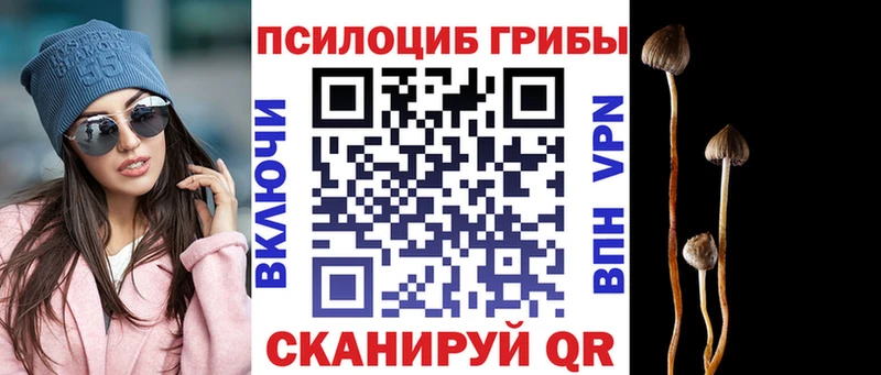 Псилоцибиновые грибы Psilocybe  где купить наркотик  Тогучин 